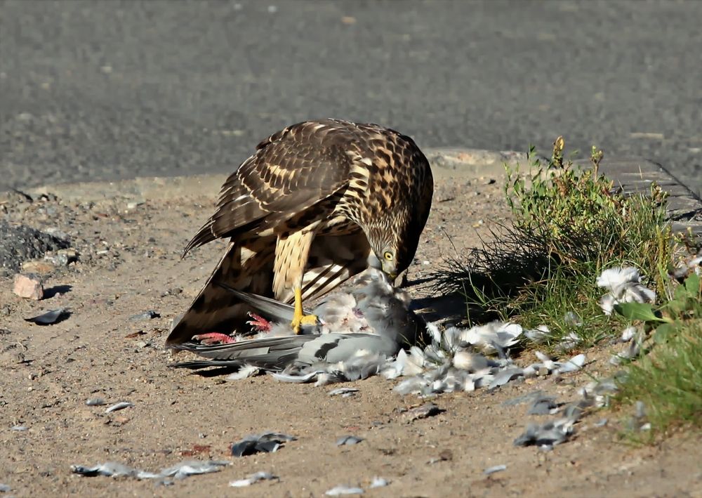 Photograph by Татьяна Слесарева