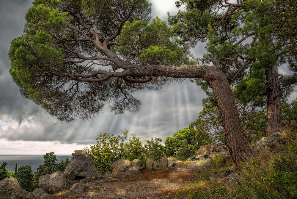 Photograph by Бурда Юрий