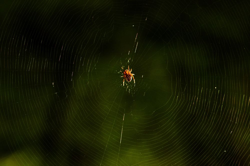 Photograph by Марина Крюкова