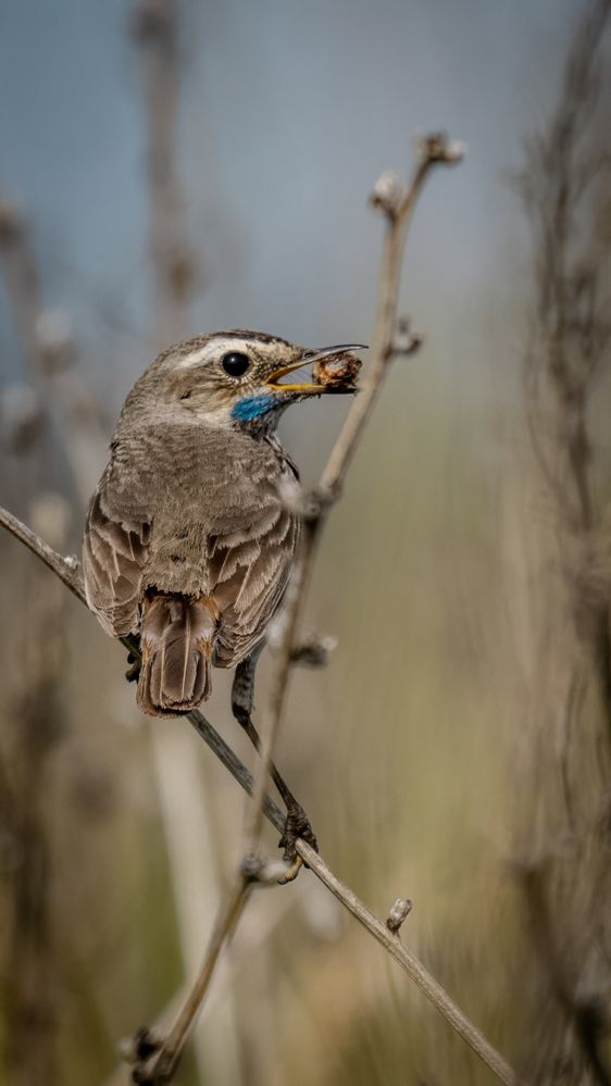 Photograph by Белоус Владислав