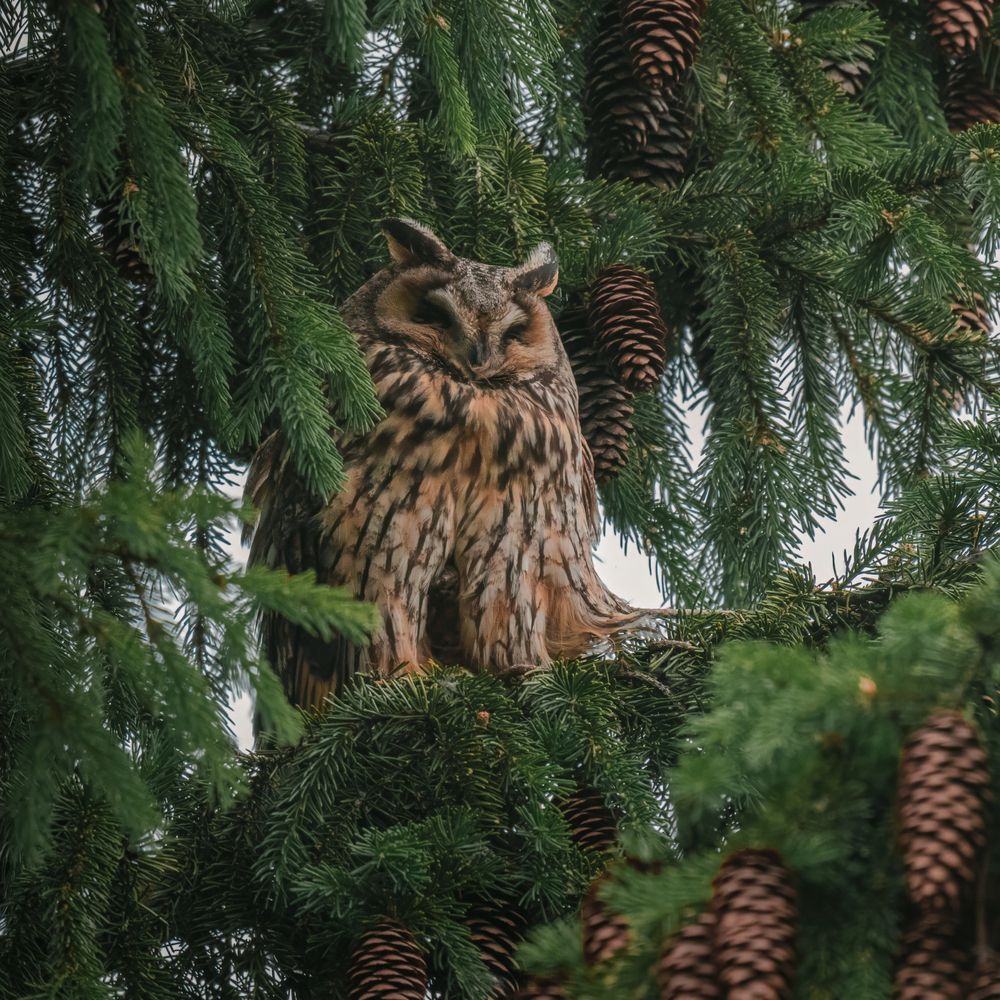 Photograph by Белоус Владислав