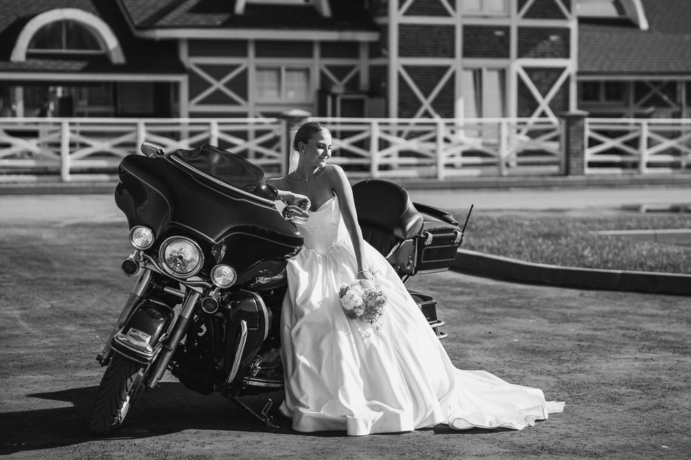 Photograph by Владимир Васильев