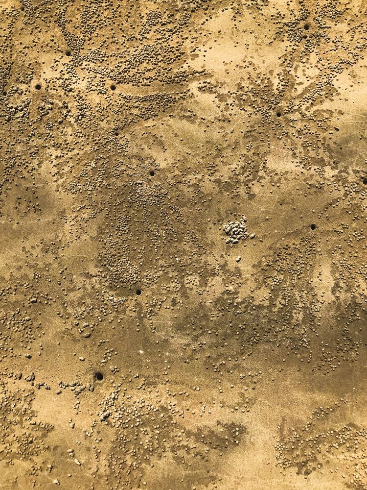 Photograph by Светлана Карнаух