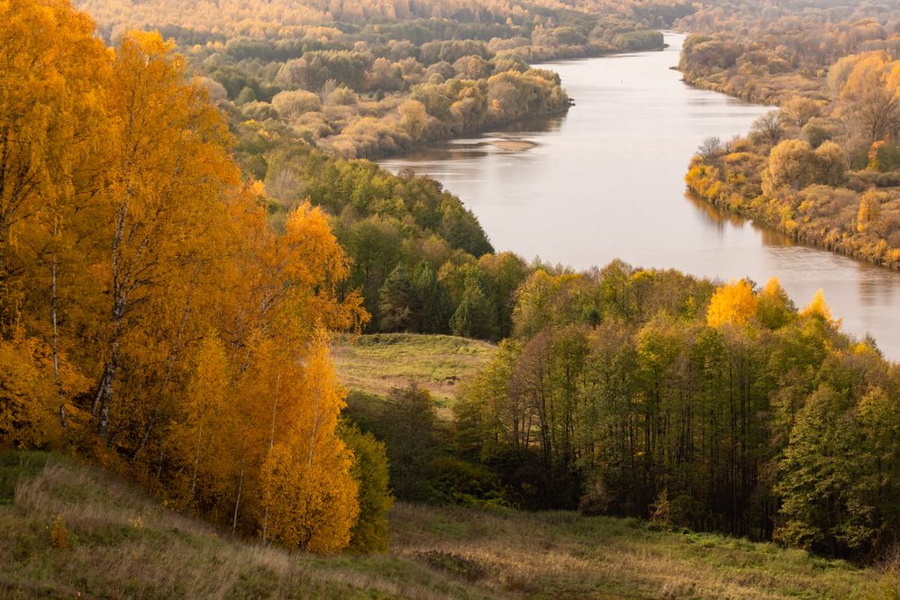 Photograph by Светлана Тараканова