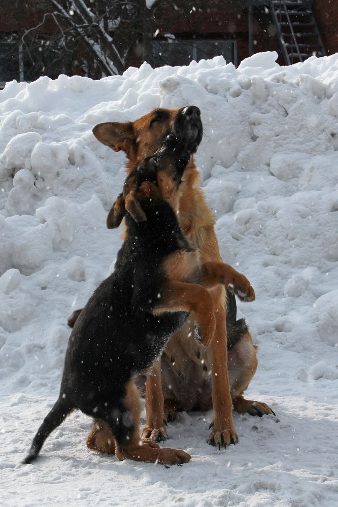 Photograph by Светлана Карнаух