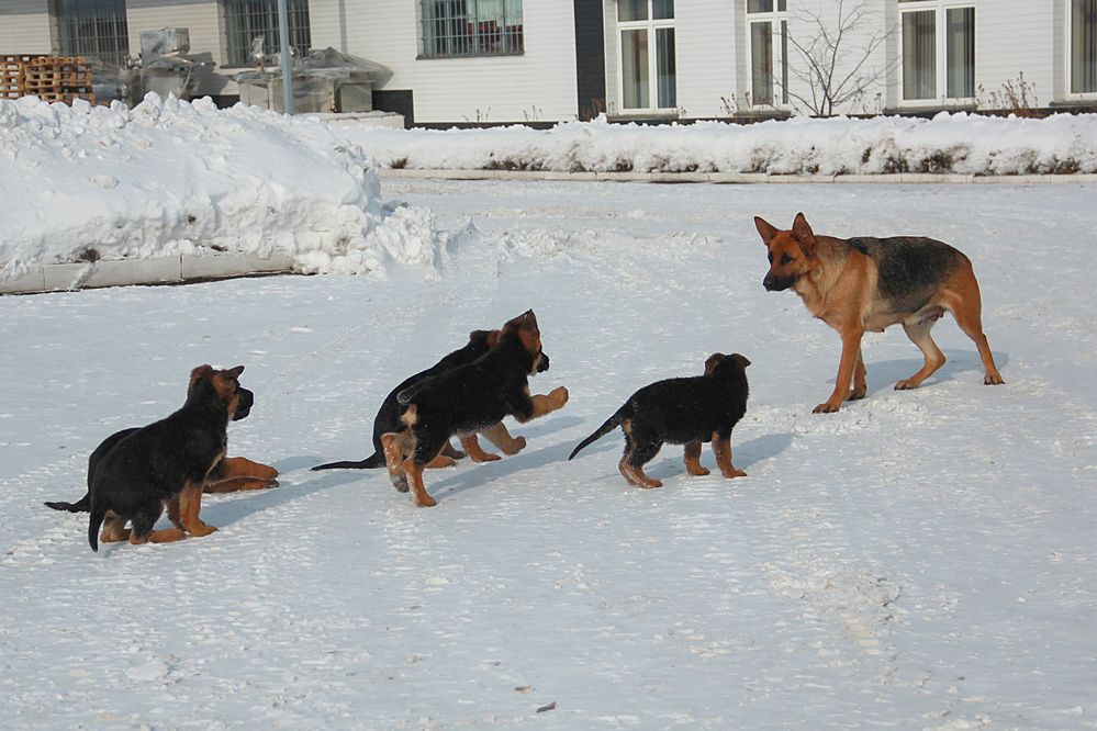 Photograph by Светлана Карнаух