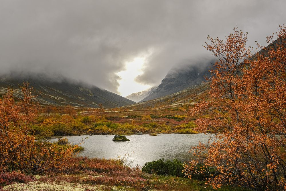 Photograph by Галина Юдина