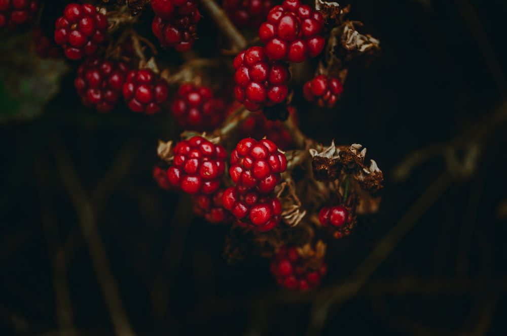 Photograph by  alex.a3397