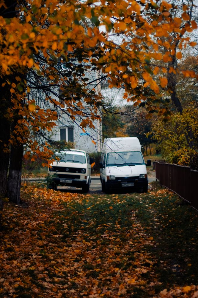 Photograph by Сергей Кутьин