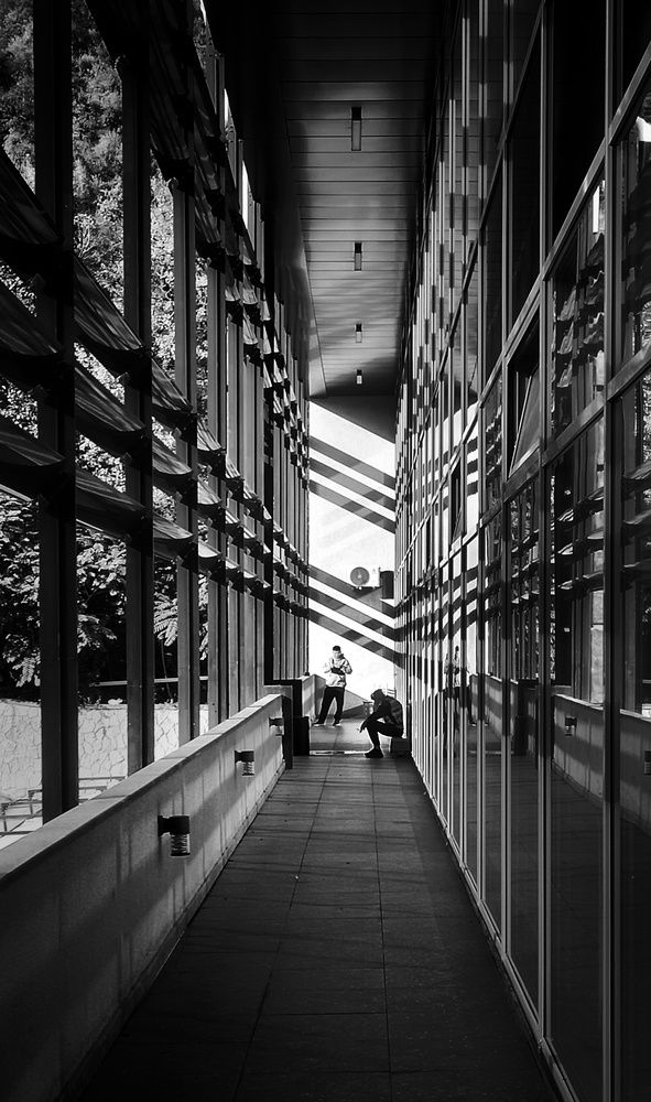 Photograph by Кривенко Владимир