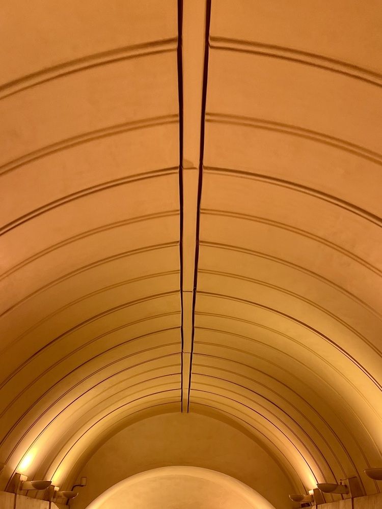 Photograph by Сюзанна