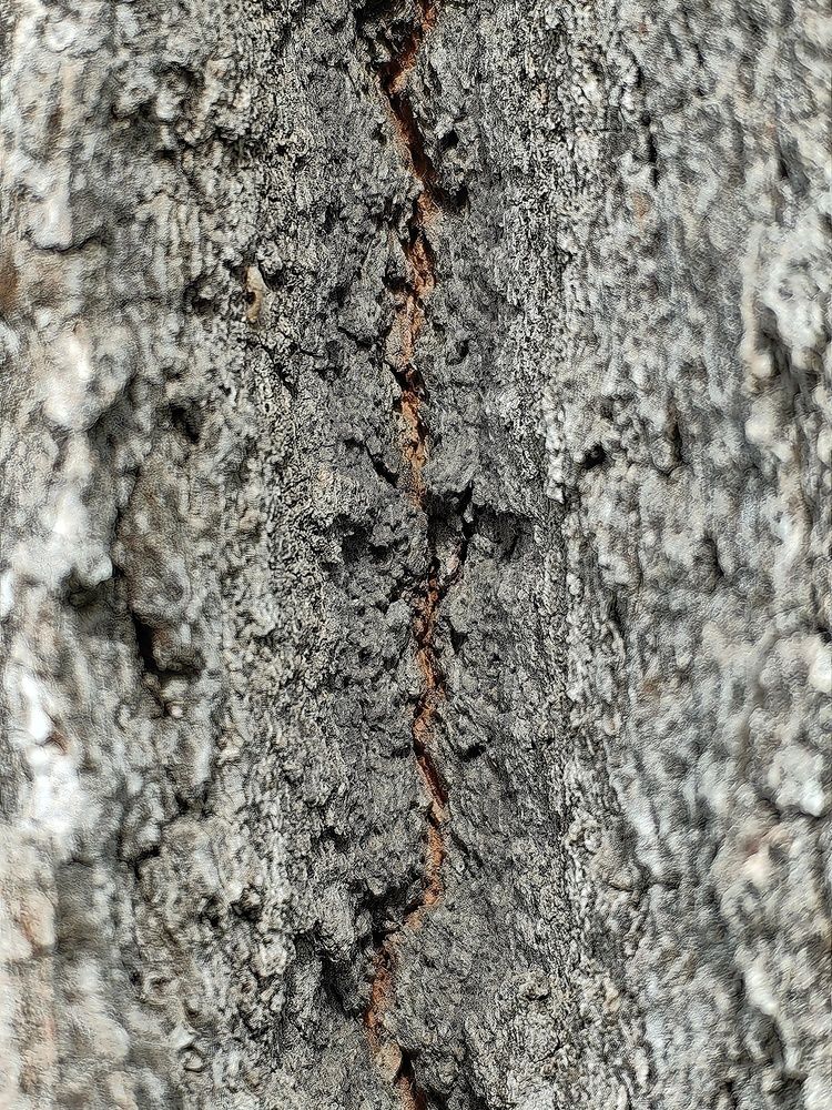 Photograph by Гульназ Шайхисламова