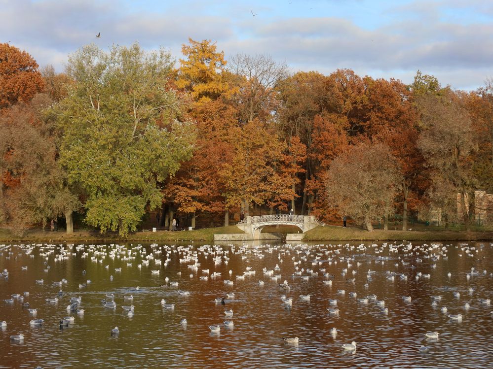 Photograph by Марианна Браун