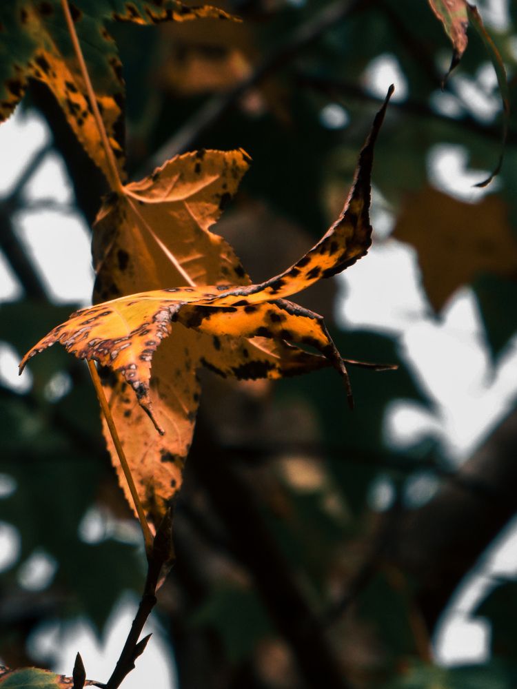Photograph by Beatriz Zanon Uliana