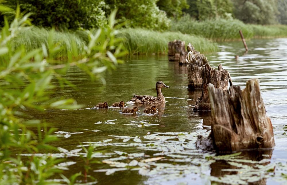 Photograph by Юлия Персинен