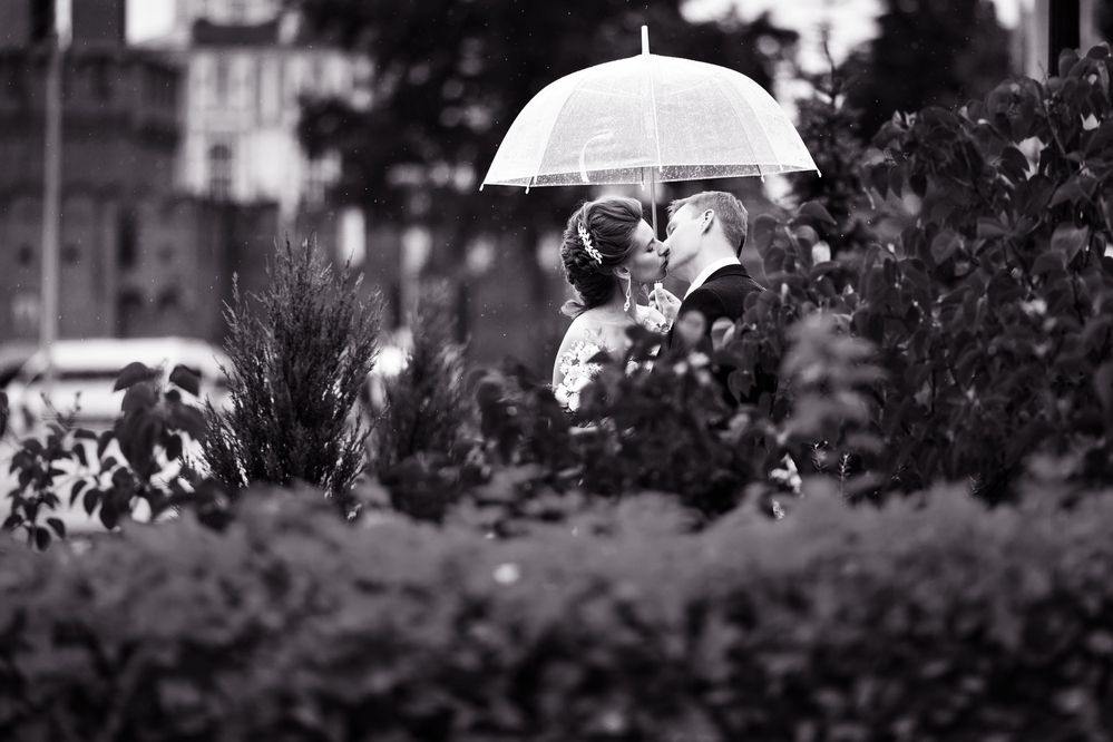 Photograph by Вербицкий Петр