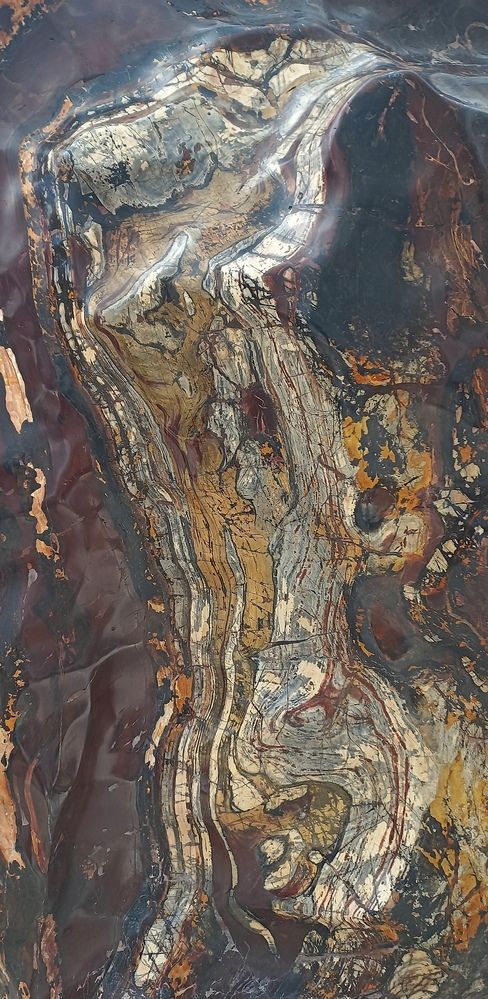 Фотография автора Александр Кожевников