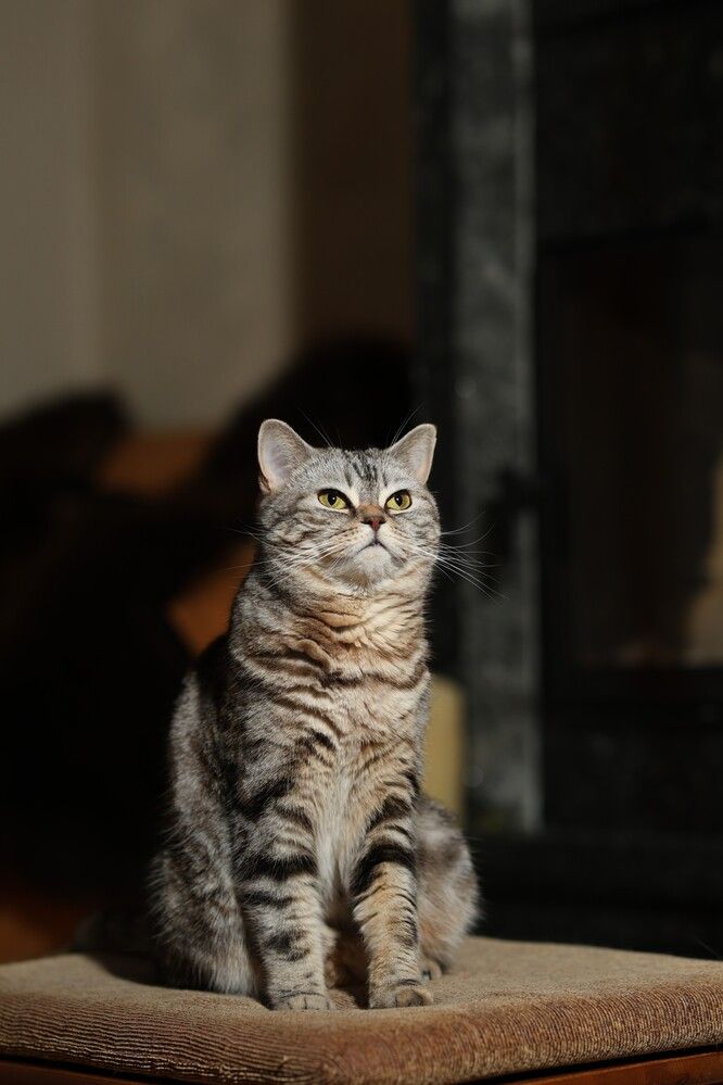 Photograph by Миля Сухарева