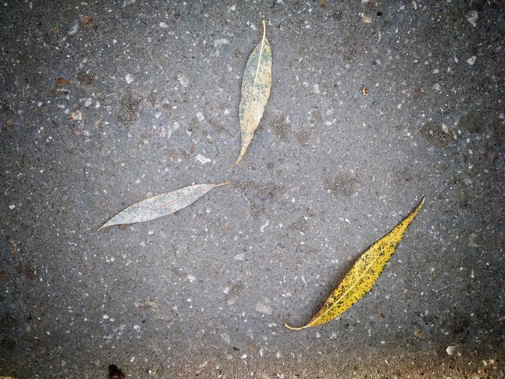 Photograph by Евгений Балакин