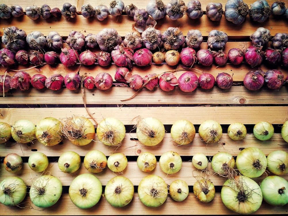 Photograph by Евгений Балакин