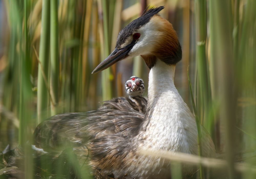 Photograph by Viktoriya Kim