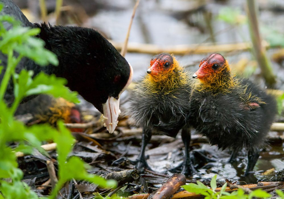 Фотография автора Viktoriya Kim