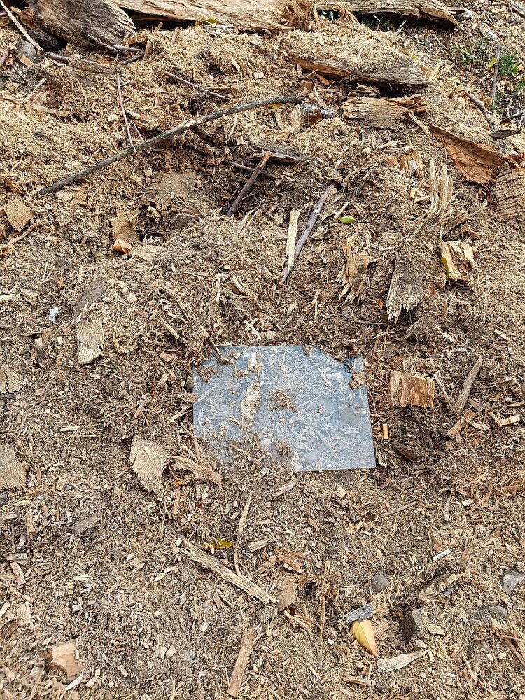 Photograph by Юрий Варюхин