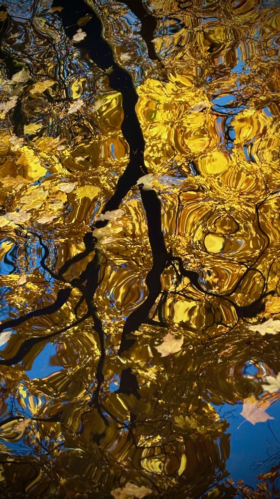 Фотография автора Alexander Solovyev