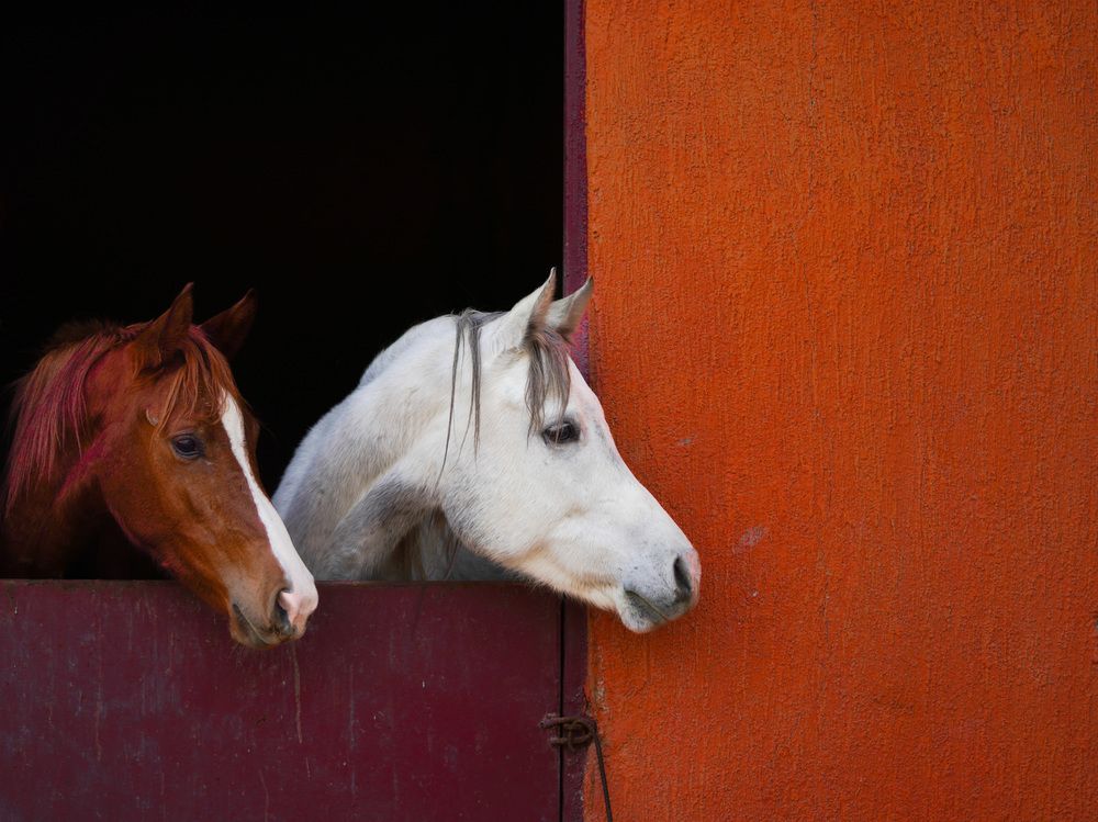 Photograph by hussain makki alqattan