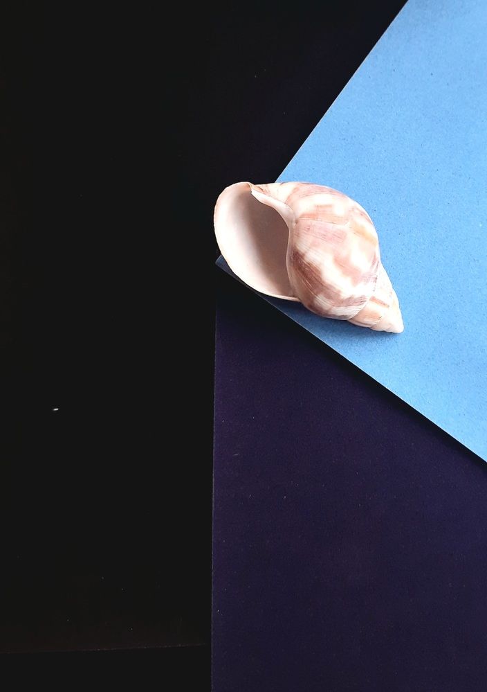 Photograph by Ирина Лукашова