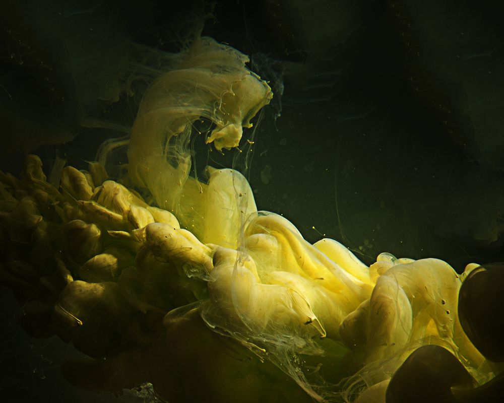 Photograph by Гергерт Вероника