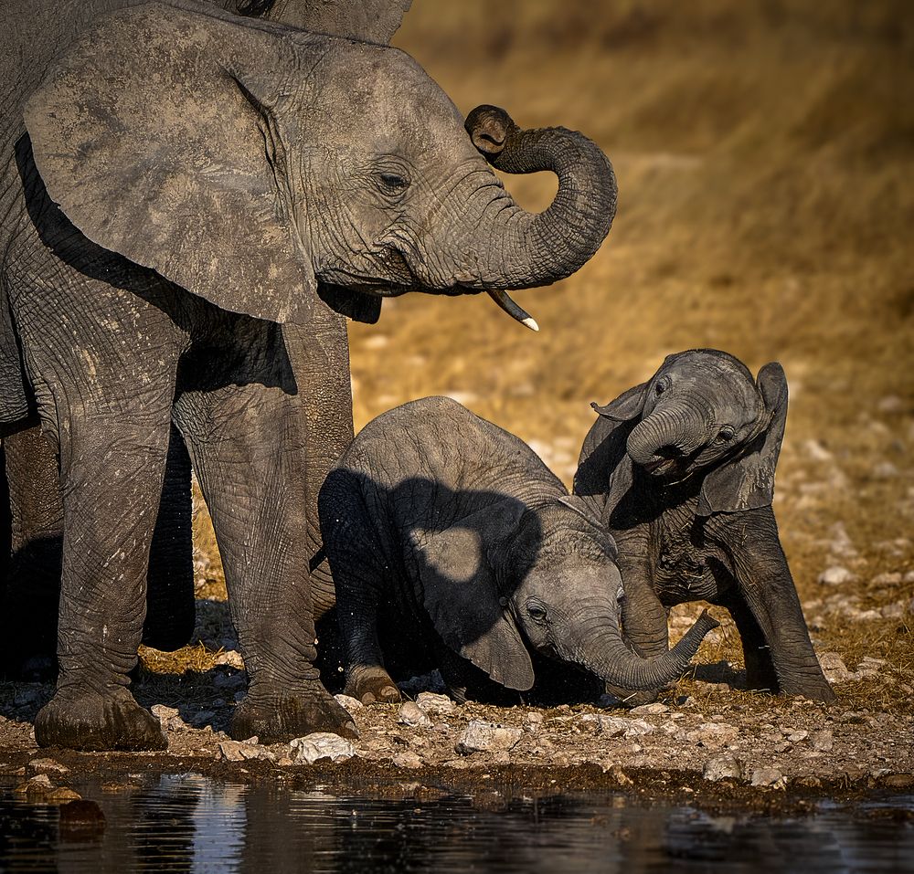 Photograph by Boris Bekelman