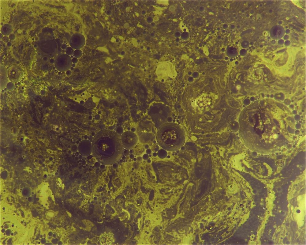 Photograph by Гергерт Вероника