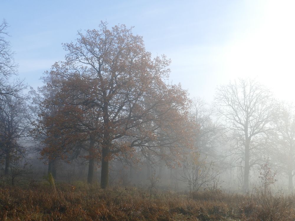 Photograph by Александр Кизим