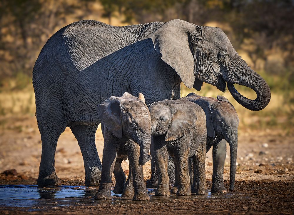 Photograph by Boris Bekelman