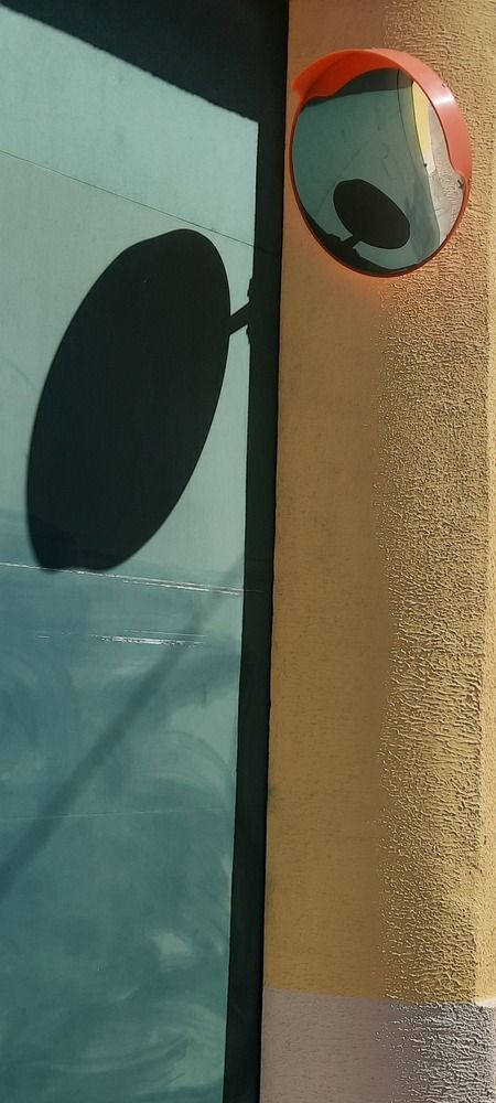 Фотография автора Anabela Maria Lima Silva