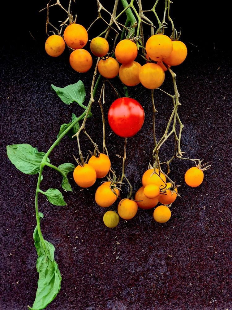 Фотография автора Николай Протасеня