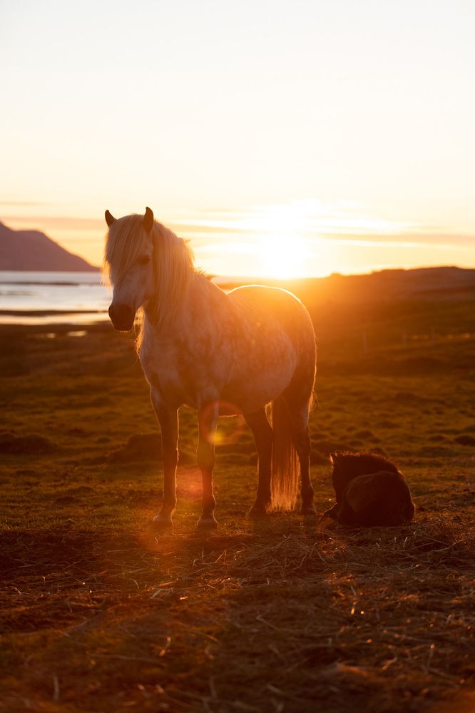 Фотография автора Fabienne Gassmann