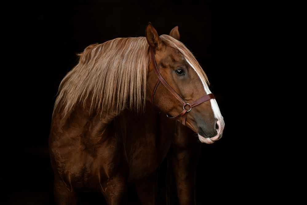 Photograph by Fabienne Gassmann