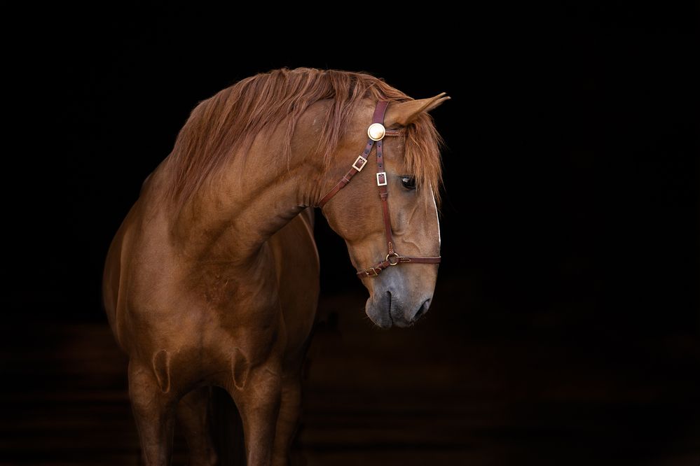 Photograph by Fabienne Gassmann