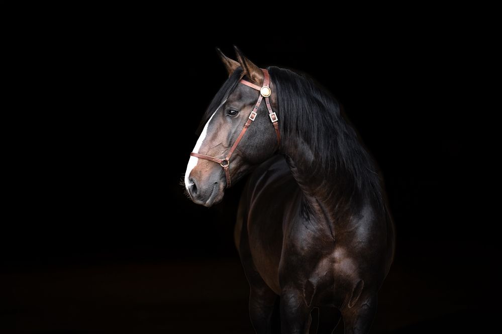 Photograph by Fabienne Gassmann