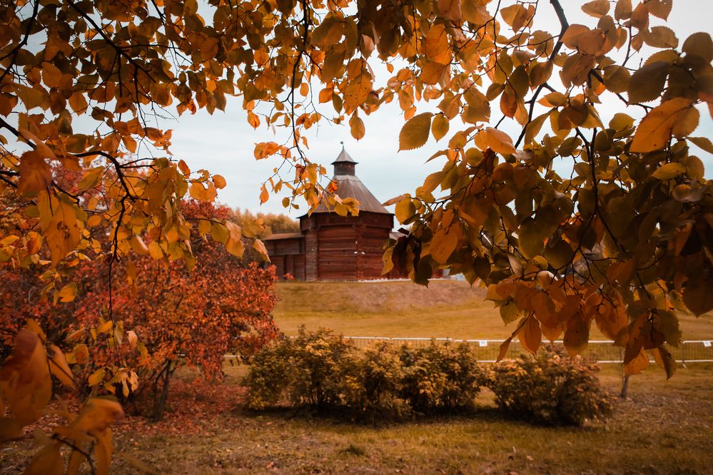 Photograph by Александр Ермаченко
