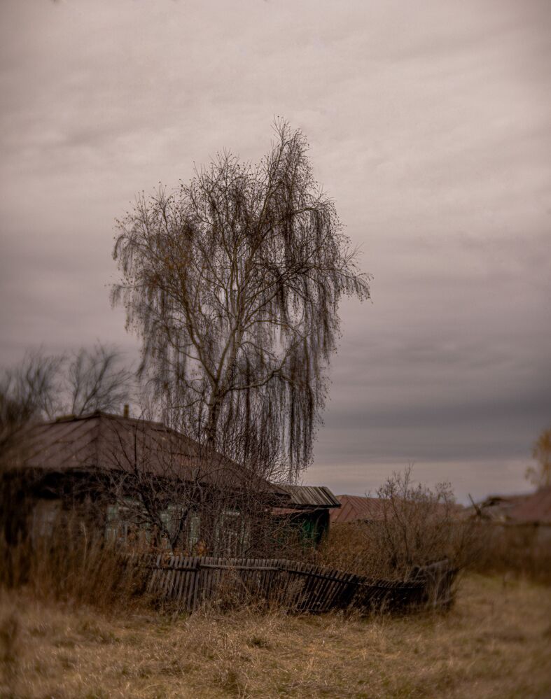 Фотография автора Сергей Синягин