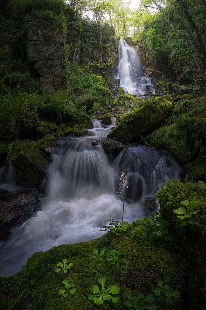 Photograph by Javier Enjuto Garcia