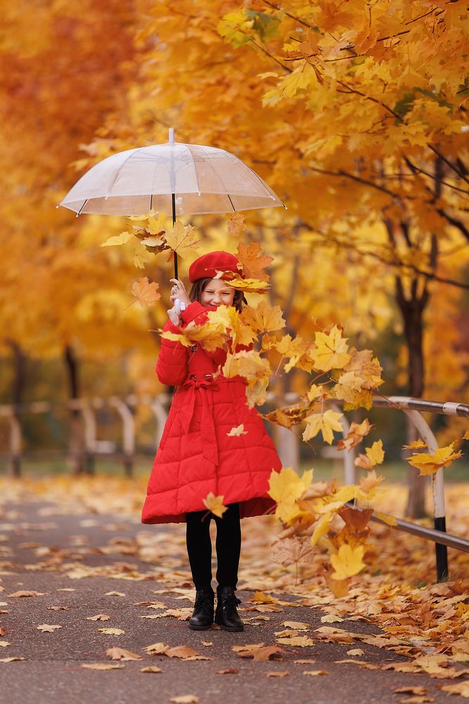 Фотография автора Тамара Дмитриева