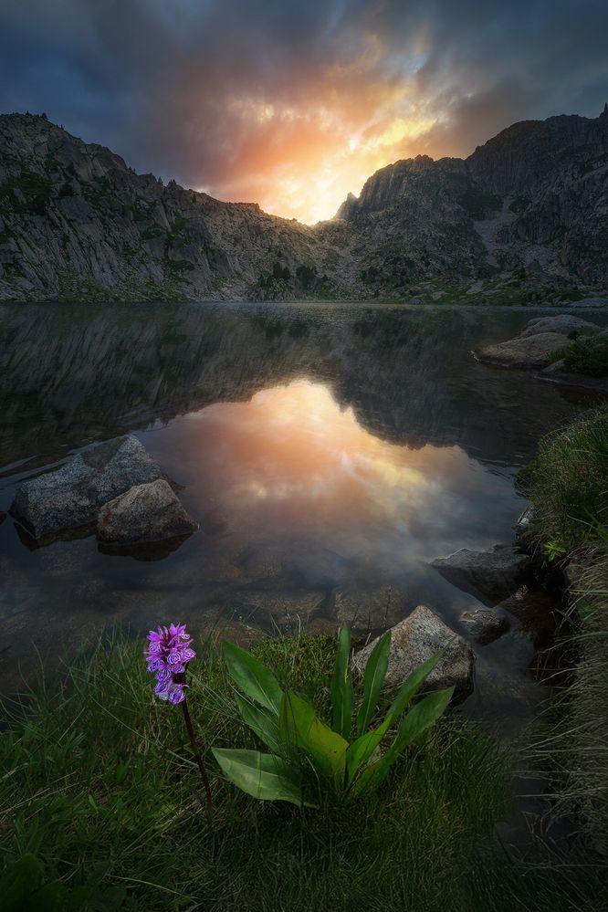 Фотография автора Javier Enjuto Garcia