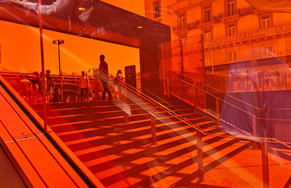 Photograph by Grădinaru Catalin