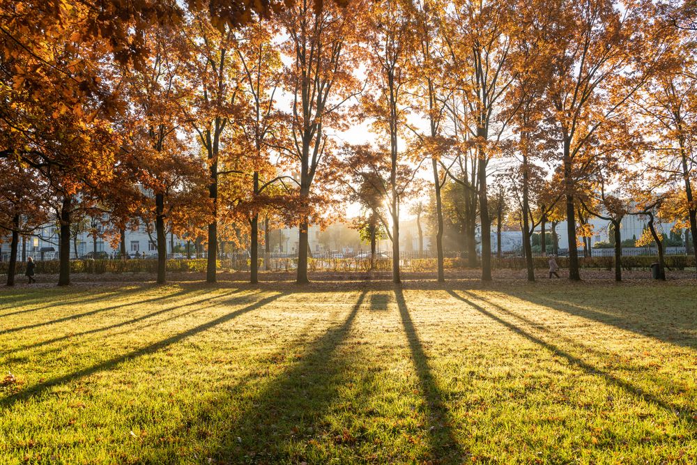 Photograph by Александр Кочергин
