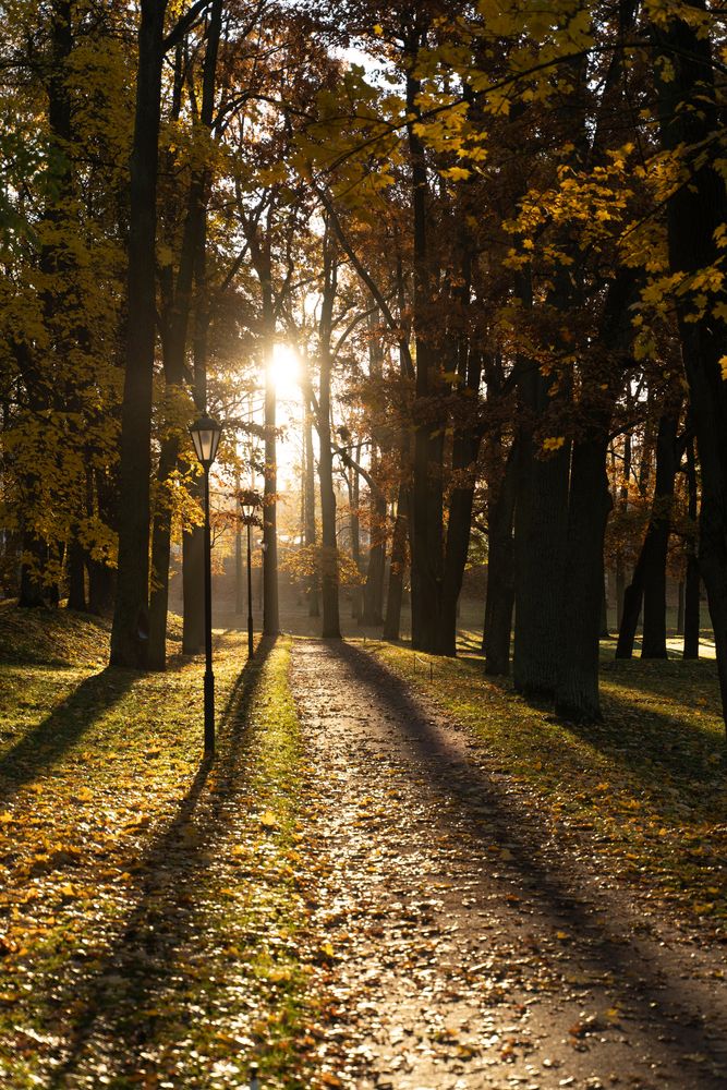 Photograph by Александр Кочергин