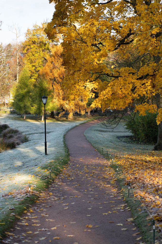 Photograph by Александр Кочергин